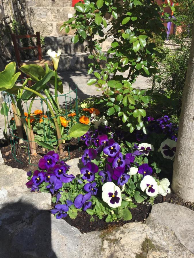 Bed and Breakfast La Clé des Songes Claviers Exterior foto